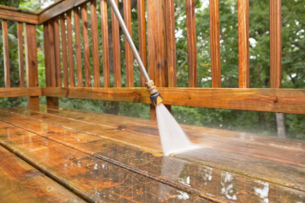 Best Fence Cleaning  in St Paul, MN